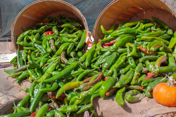 Why is New Mexico Green Chile So Popular in the World? Its Usage in Food
