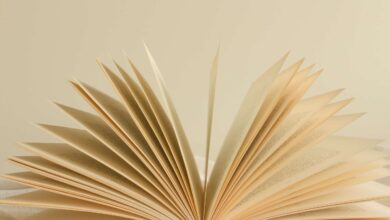top Art History Books