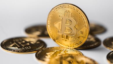 Bitcoin News: Bitcoin Price Up 1.5% Amid Global Policy Easing